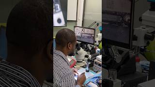 REWA Academy iPhone repair on site training course sharing shorts [upl. by Attoynek417]