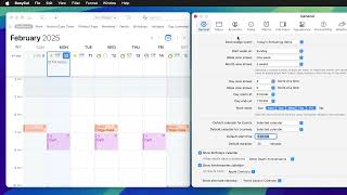 BusyCal Week View Alignment Options [upl. by Allecnirp648]