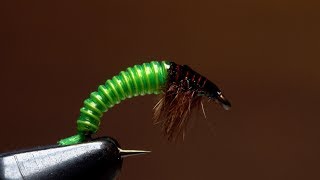 JCs Electric Caddis Larva [upl. by Eveline102]