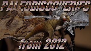 PALEODISCOVERIES from 2012 [upl. by Alben651]