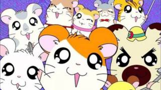 hamtaro ending portugues [upl. by Etteuqram]