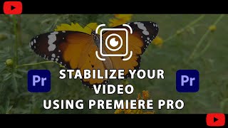 How To Stabilize Video in Adobe Premiere Pro Premiere 2021 Tutorial [upl. by Bremer601]