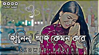 জানিনা আজ কেমন করে Lofi  Janina Aj kemon kore  SlowedReverb Song 2023 lofi bangladesh [upl. by Alberta]