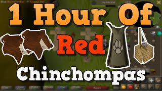 OSRS Hunting Red Chinchompas Guide 2021 [upl. by Netniuq]