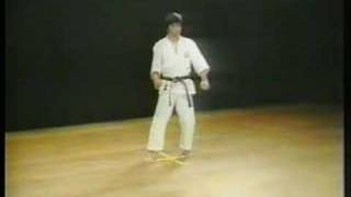 Gankaku  Shotokan Karate [upl. by Stearn821]