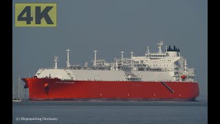 CELSIUS GANDHINAGAR  Shipspotting Germany 🇩🇪 IMO 9946829  River Elbe near City Otterndorf  4K [upl. by Erdnua]