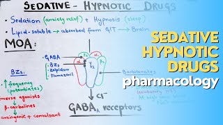 SedativeHypnotic drugs part 2 CNS pharmacology made EASY and QUICK [upl. by Dnalhsa]