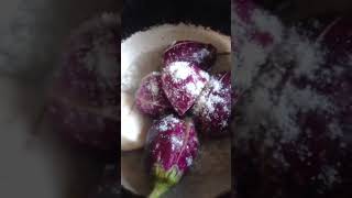 Brinjal fry food ytshorts  shorts  trending  brinjal  recipe  telugu [upl. by Golub]