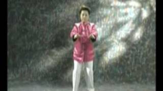 Qi Gong Shibashi 1 parte 1 serie [upl. by Nnylf]