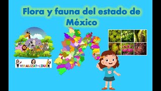 Diversidad flora y fauna del Estado de México [upl. by Jemine]