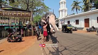 മച്ചാട് ആന Aruvai Chiravarambathukavu Pooram 2025 [upl. by Eeleak]