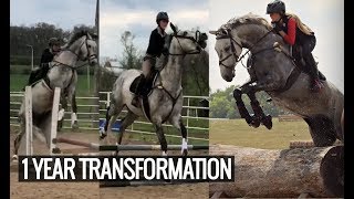 MY CRAZY HORSES 1 YEAR TRANSFORMATION [upl. by Erminia511]