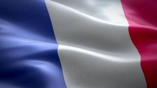 waving flag of France footage [upl. by Carilla]