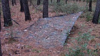 Plow Point Tarp Shelter Part One Basic Set Up [upl. by Ysset166]