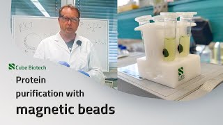 Guide to magnetic beads  MagBeads for protein purification [upl. by Nauqal]