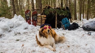 Overnight Camping at My Bushcraft Shelter in the Snow [upl. by Ahsoj]