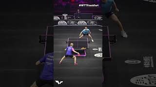 Slick moves by the new World No4 🌟 WTTFrankfurt TableTennis [upl. by Edelson]