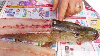 How to Fillet a Pike and Get 5 Boneless Fillets [upl. by Nodyarg]