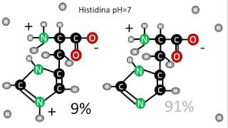 pKa de los aminoácidos  Cargas de la histidina a pH 7 [upl. by Eirrot983]