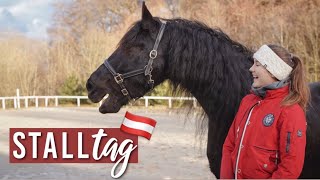 STALLTAG auf Österreichisch 🇦🇹 Ein Tag in Mundart  VLOG 33  Pilsali [upl. by Attenat]