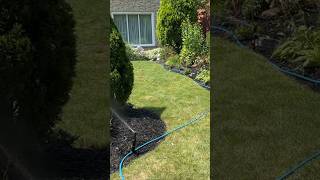 DIY Sprinkler System Installation StepbyStep Guide for Beginners diy sprinklerirrigation [upl. by Neleh199]