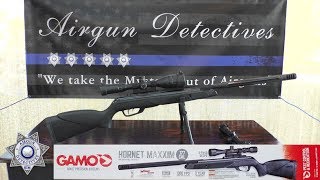 Gamo Hornet Maxxim IGT CAT 177 Air Rifle quotComplete Reviewquot by Airgun Detectives [upl. by Ahsenid]