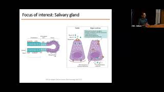 MANAGEMENT OF PRIMARY SJOGRENS DISEASE amp ANTIPHOSPHOLIPID SYNDROME  DR KOSHY NITHIN THOMAS RHC [upl. by Mirabelle]