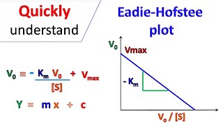 Eadie Hofstee Plot [upl. by Ahcropal]