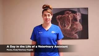 A Day in the Life of a Veterinary Assistant [upl. by Lydia]