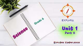 Science  Grade 6  English Medium  Unit 1  Wonders of the Living World  Part 2 [upl. by Leur454]