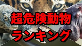 逃げろ世界超危険動物ランキング [upl. by Lebar]