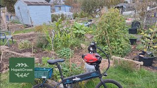 Autumn allotment tour [upl. by Hollis]