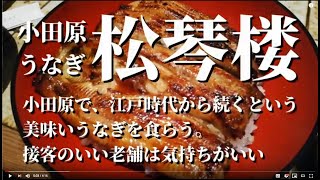 うなぎ 松琴楼 神奈川県・小田原でおすすめの美味しいうなぎ 小田原ナンバーワンの呼び声が高い江戸時代から続く老舗 [upl. by Harim76]