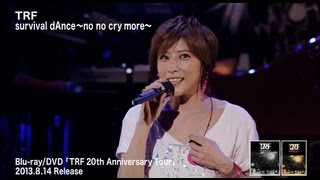 TRF  survival dAnce ～no no cry more～ （TRF 20th Anniversary Tour） [upl. by Marela190]