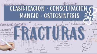 FRACTURA CONSOLIDACION OSTEOSINTESIS YESO CALLOBLANDO CALLODURO [upl. by Atik302]