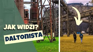 Jak daltoniści widzą świat [upl. by Llerdnad]