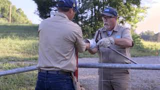 How to Tension a High Tensile Fence [upl. by Tish]