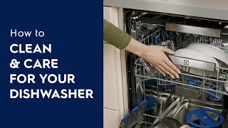 How to Clean amp Care For Your Dishwasher [upl. by Erreid]