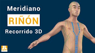 El meridiano del Riñón  Recorrido 3D punto a punto [upl. by Namyh]