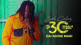 Seh Calaz  Dai Ndine Mari Mhamha Seh Calaz 30 Reggae Album [upl. by Yellah497]