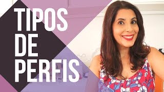 Tipos de PERFIS COMPORTAMENTAIS  DISC [upl. by Frohne]