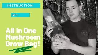 AllInOne Bags  Easiest Way To Grow Mushrooms [upl. by Ceil]