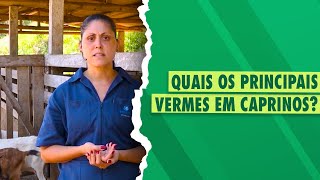 Verminoses em caprinos [upl. by Nerrak]