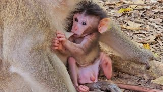 My breast milk is really sweet and deliciousviralvideo funny fyp foryou love new cute baby [upl. by Llednor]