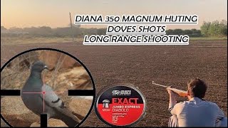 Long Range Dove Hunting with Diana 350  Hunting with Springer airgun Pakistan  green pigeon [upl. by Amandi16]