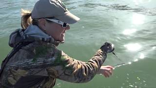 Detroit River Hand Lining Walleye [upl. by Hteboj]