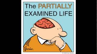 Partially Examined Life podcast  Chuang Tzu  Taoism [upl. by Gayel185]