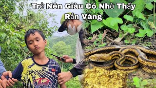 Trở Nên Giàu Có Nhờ Tìm Thấy Rắn Vàng  Cọp Kè Vui Mừng Và Giàu Có Ở Nơi Chín Suối [upl. by Normy24]