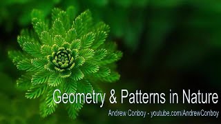 Patterns in Nature  Symmetry Fractals amp Geometry [upl. by Oleta]