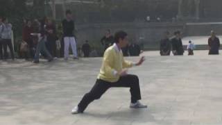 Chen Tai Chi 32 Movement Short Form [upl. by Earehs]